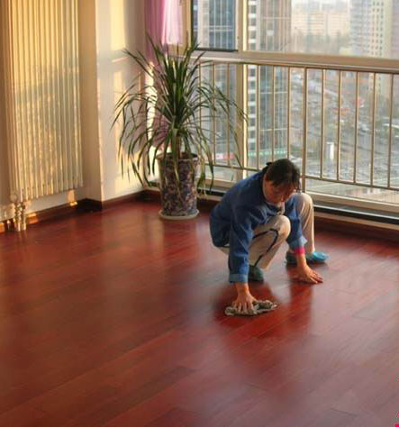 2015新年大扫除:轻松清洁地板接缝处灰尘